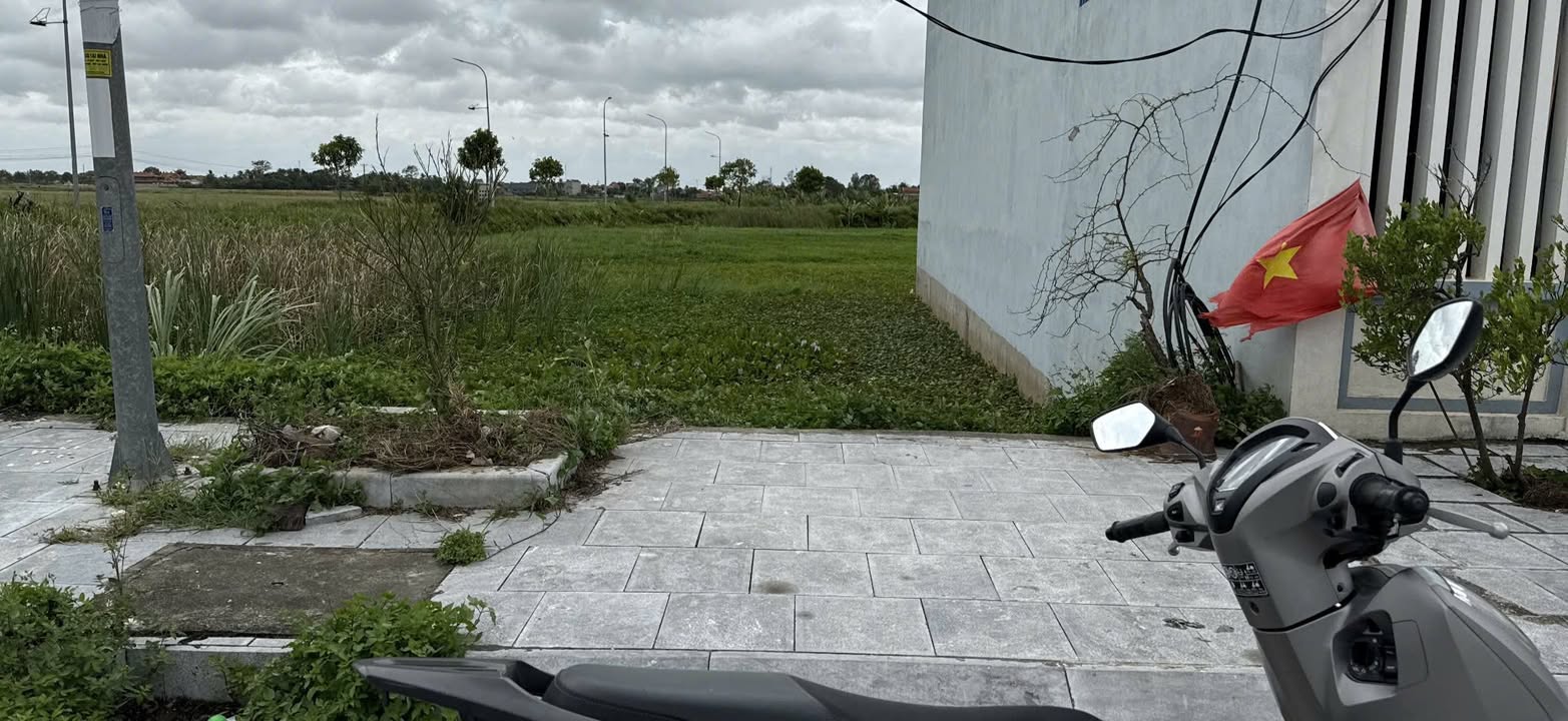 Đất nền Hoằng Tiến 120m² giá thỏa thuận - Vị trí đắc địa, sinh lời cao!