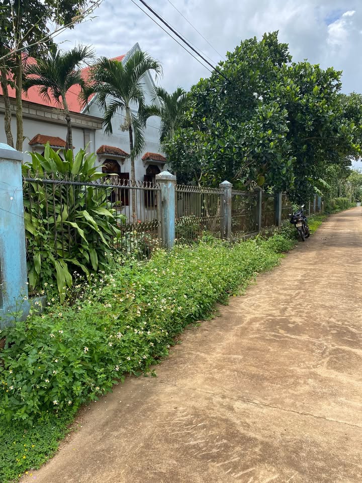 Đất nền Xuân Đông Cẩm Mỹ 135m² giá 450 triệu - Đầu tư sinh lời tuyệt vời!