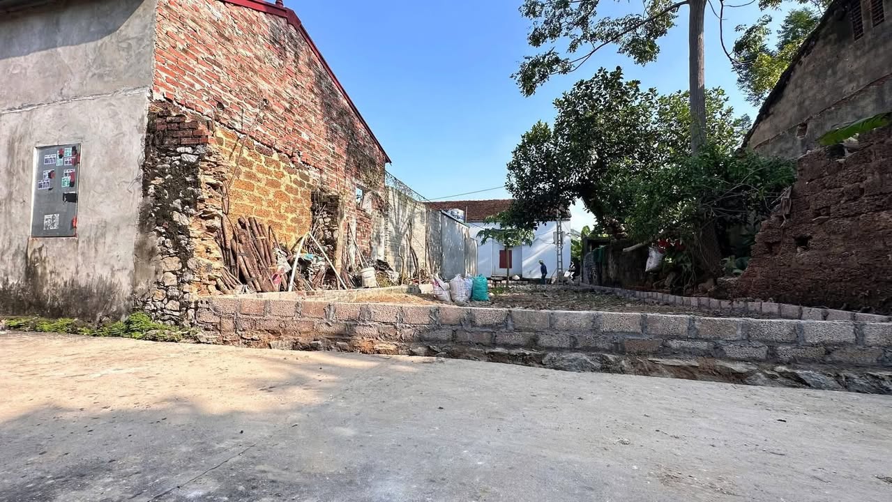 Đất đẹp 2 mặt tiền Tuy Lai, Mỹ Đức, Hà Nội 99m² - Cơ hội đầu tư hiếm có!