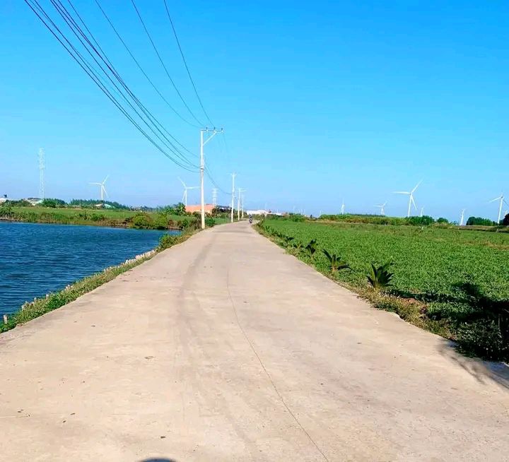 Đất nông nghiệp Thạnh Hải 4900m² giá 340 triệu - Đầu tư nghỉ dưỡng lý tưởng!