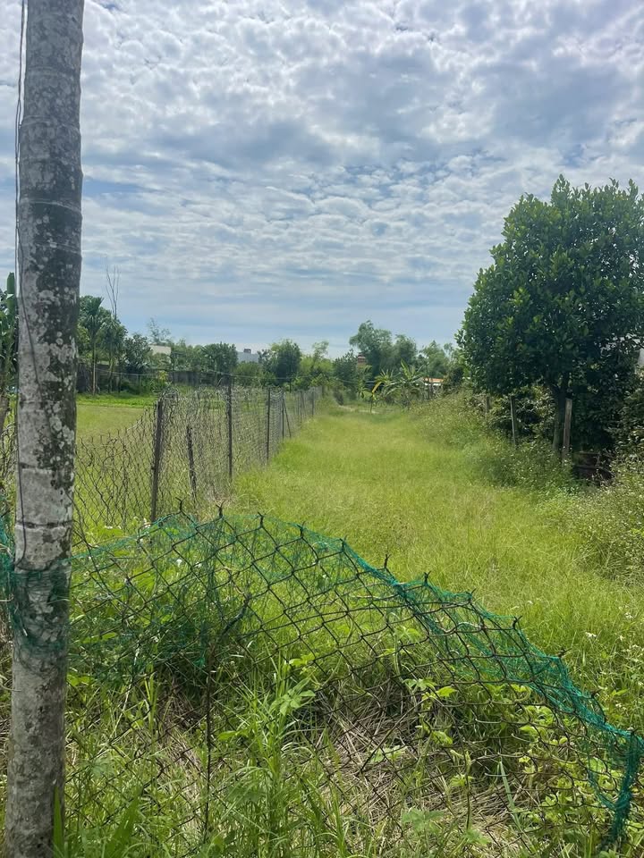 Đất nền Điện Nam Bắc 155m² giá 1.7 tỷ - Đường ô tô tránh nhau, vị trí đẹp!