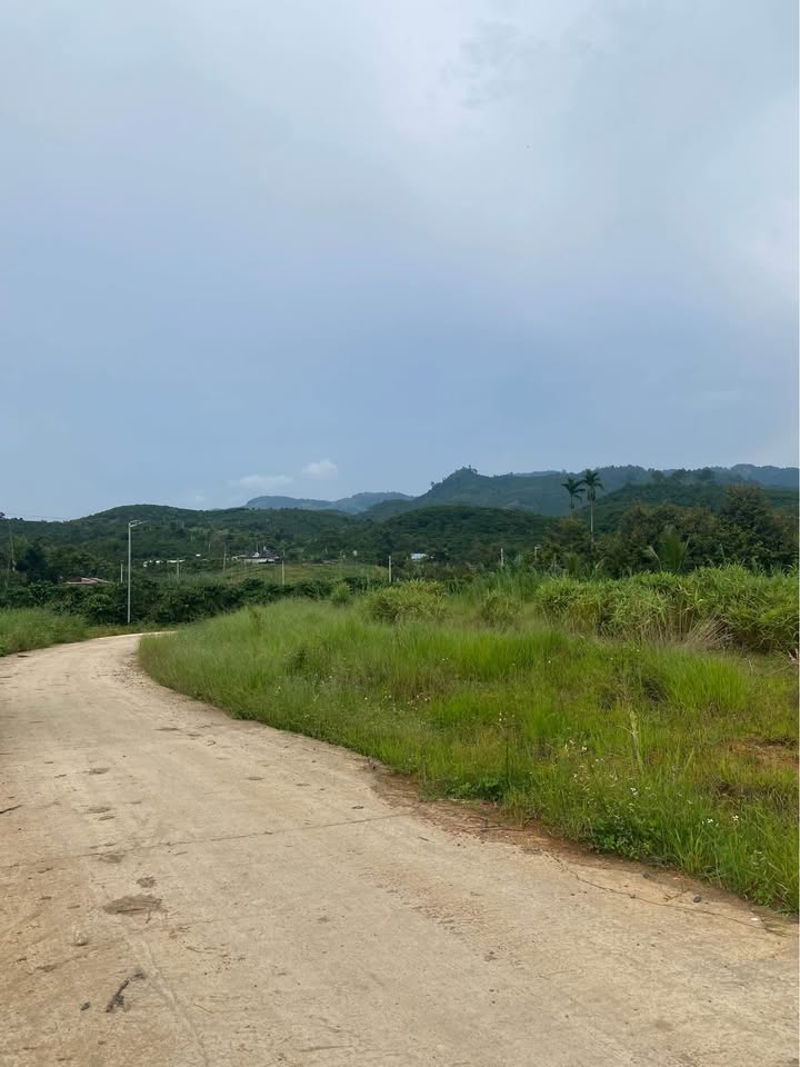 Bán lô đất đẹp 1100m² Thôn 9, Đại Lào chỉ 1.3 tỷ - Cơ hội đầu tư tuyệt vời!