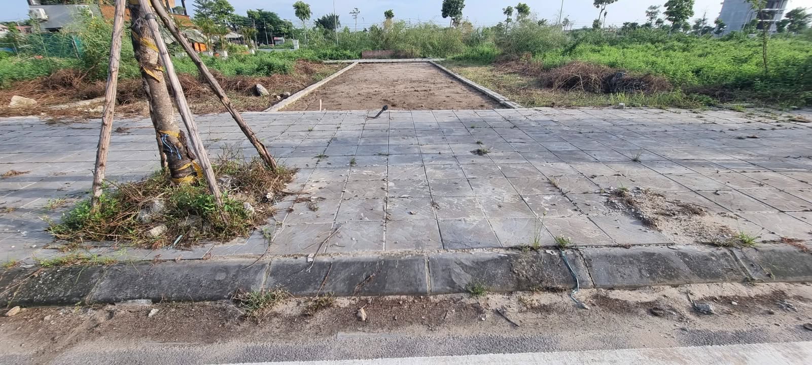 Đất đấu giá Thụy Lâm 87.5m² giá chỉ 7 tỷ - Đầu tư sinh lời cao!