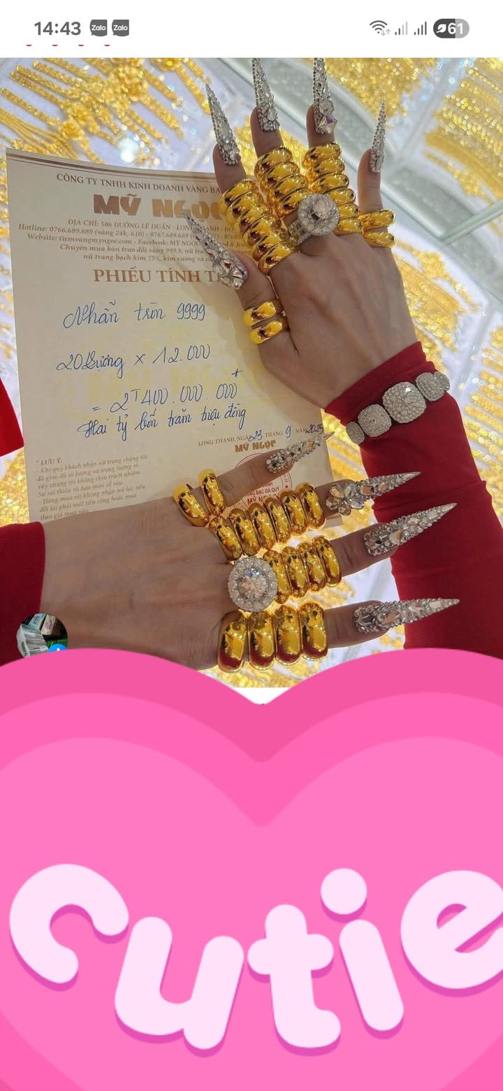 Đất nền Hòa Thành Tây Ninh 13.000m² giá 550 triệu - Cơ hội đầu tư hấp dẫn!