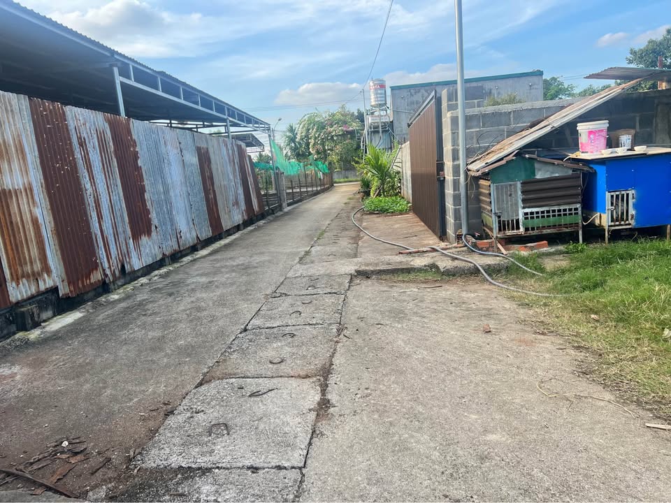 Đất nền Hẻm C1 Y Wang, xã Ea Kao, 203m² chỉ 679 triệu - Cơ hội đầu tư tuyệt vời!