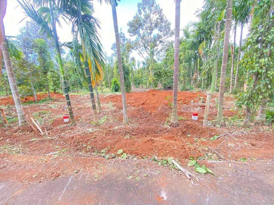 Đất hẻm cấp 1 Cao Thắng, Ea Kao 250m² giá 600 triệu - Sổ đỏ chính chủ