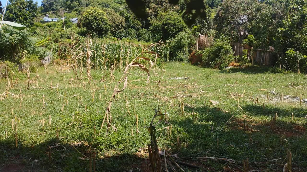 Đất nền Chiềng Sinh 560m² giá chỉ 1.1 tỷ - Đầu tư sinh lời ngay!