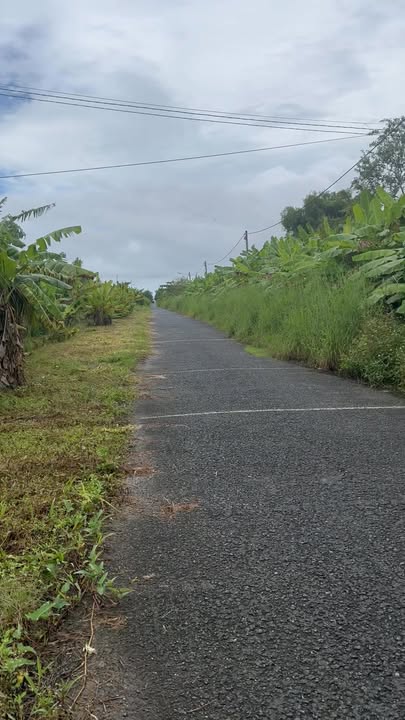 Đất thổ cư 100m² tại Đông Thái, An Biên chỉ 390 triệu - Giá hời cho nhà đầu tư!