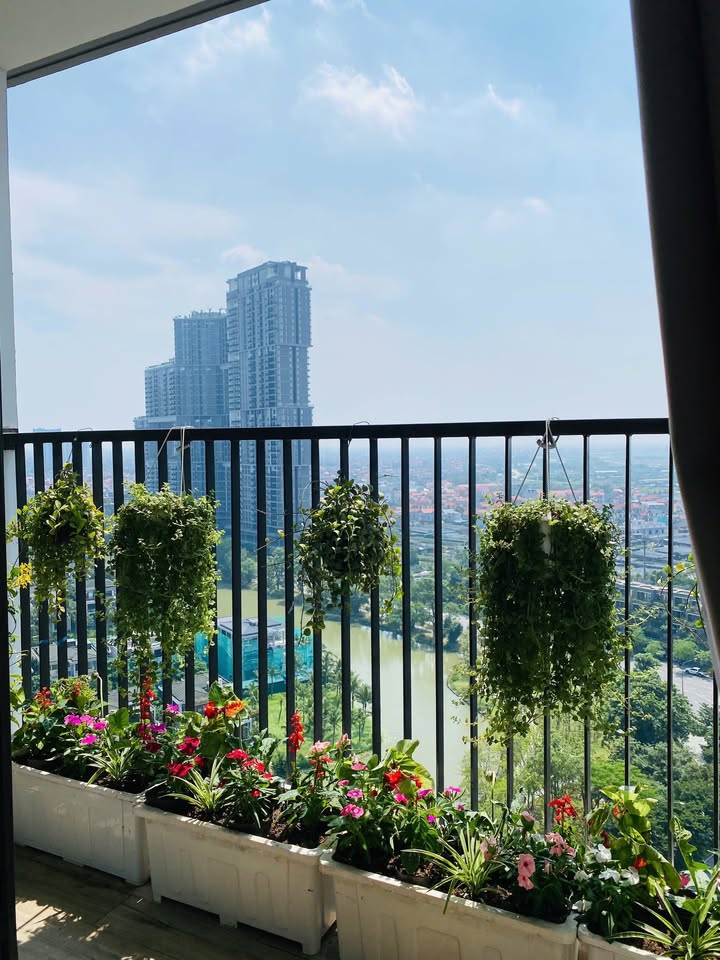 Căn hộ Haven Park Văn Giang 58m² giá 4.3 tỷ - Sổ đỏ chính chủ, thiết kế tinh tế!