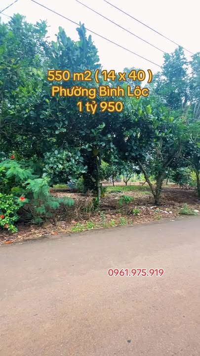 Đất nền 550m² tại Bình Lộc, Long Khánh - Giá chỉ 1.95 tỷ!