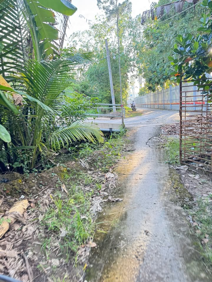 Đất lúa 4100m² Thới An Đông, Bình Thủy, Cần Thơ - Giá chỉ 550 triệu!