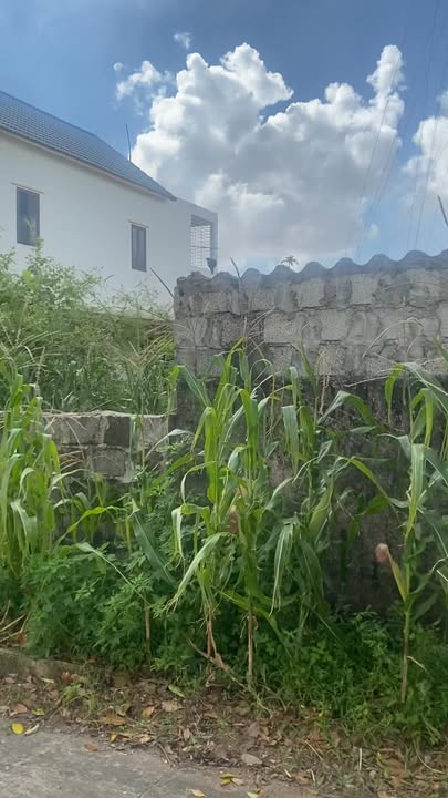 Đất thổ cư 80m² xóm Đồng Nam, Nghĩa Lợi - View sông thoáng mát, giá thỏa thuận!