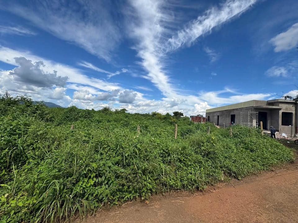 Đất thổ cư Hẻm 128 Trần Văn Ơn 229.6m² giá 500 triệu - Đầu tư sinh lời tuyệt vời!