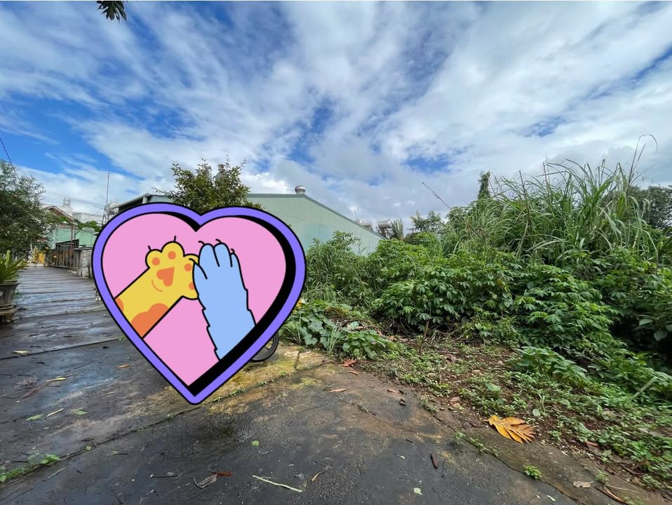 Đất nền giá rẻ tại trung tâm TP. Pleiku 140m² - Cơ hội đầu tư không thể bỏ lỡ!