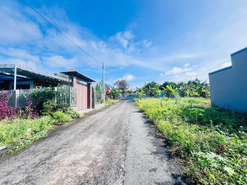 Đất nền phường Tân Bình, Đồng Xoài 207m² giá 1 tỷ - Cạnh đường nhựa thông