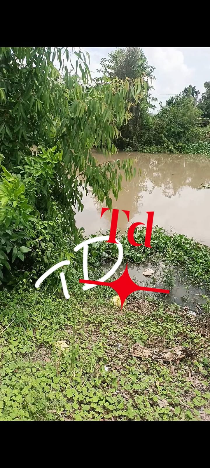 Đất thổ cư xã Mỹ An, Tháp Mười, Đồng Tháp 2835m² giá 6.3 tỷ - Đầu tư sinh lời tuyệt vời!