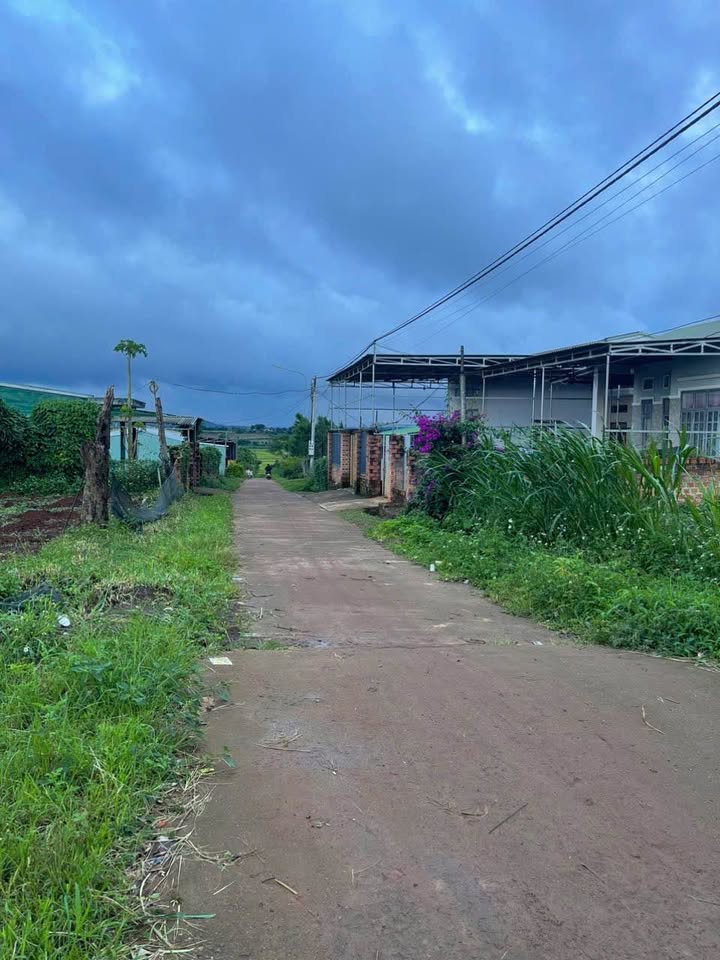 Đất nền phường An Phú, Pleiku 130m² giá 400 triệu - Đường Bùi Viện chính chủ bán gấp!