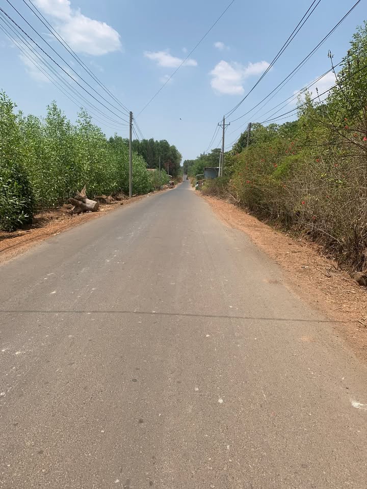 Đất nền 2651m² tại ấp Hoà Bình, Trảng Bom - Giá 3 tỷ, Sổ hồng chính chủ!