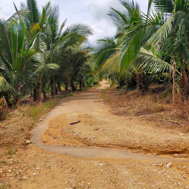 Khu nghỉ dưỡng tại xã Nam Hà, Lâm Hà 40,000m² giá 9 tỷ - Tiềm năng đầu tư lớn!