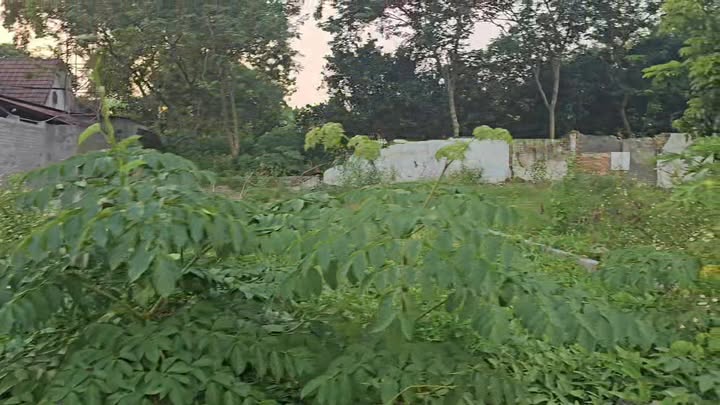 Đất thổ cư Hiệp Hòa 91m² giá chỉ 600 triệu - Cơ hội đầu tư vàng!