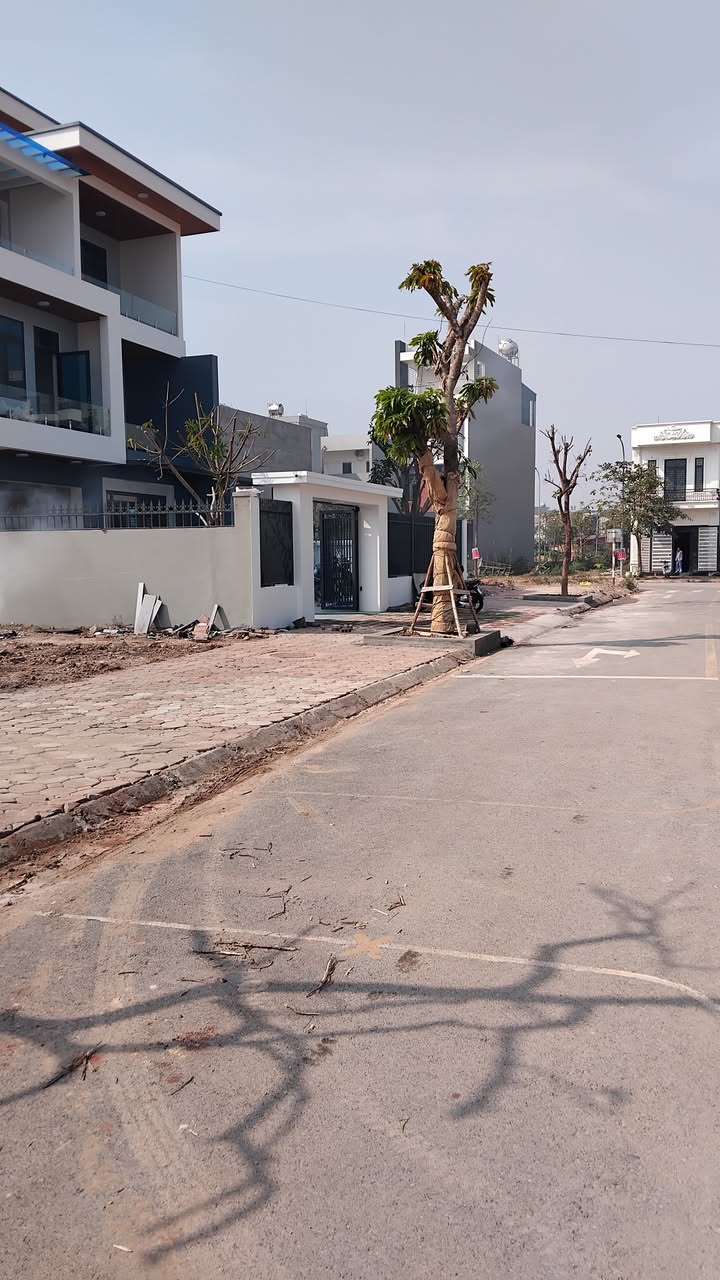 Bán lô biệt thự Lục Nam 400m² giá 9.68 tỷ - View công viên tuyệt đẹp!