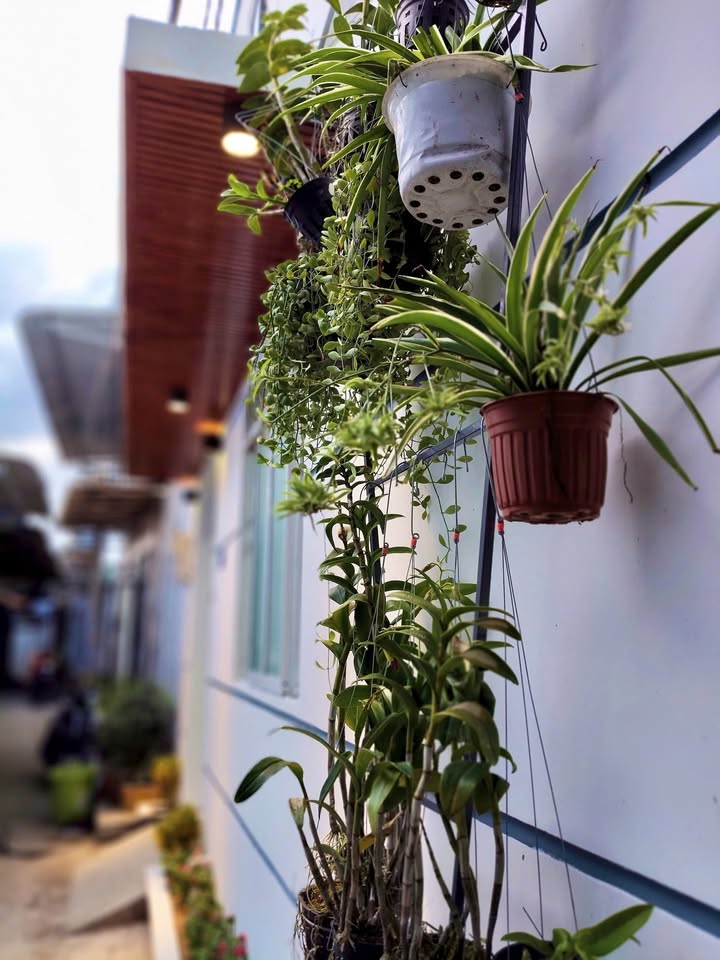 Nhà trệt lầu mới đường Võ Tánh, Lê Bình, Cái Răng 40.8m² giá 1.53 tỷ - Sẵn sàng vào ở ngay!