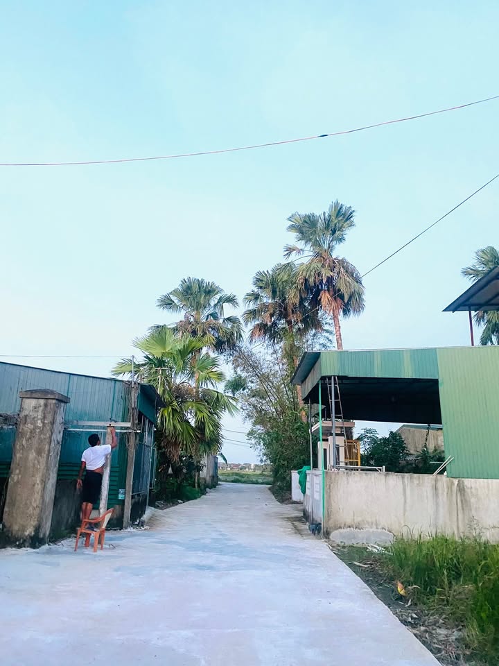 Đất nền liền kề Đài Hương, Tân Lâm Hương 175m² giá 1.3 tỷ - Cơ hội đầu tư hấp dẫn!