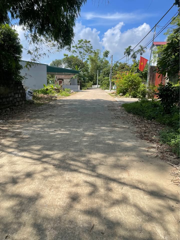 Đất nền Văn Phương Nho Quan 150m² giá chỉ 6xx triệu - Cơ hội đầu tư hấp dẫn!