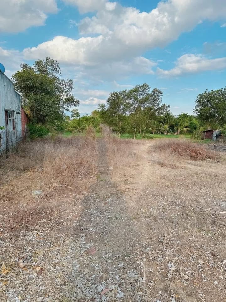 Đất thổ cư 400m² tại thôn Tân Lập 1, xã Lương Sơn - Giá chỉ 470 triệu!