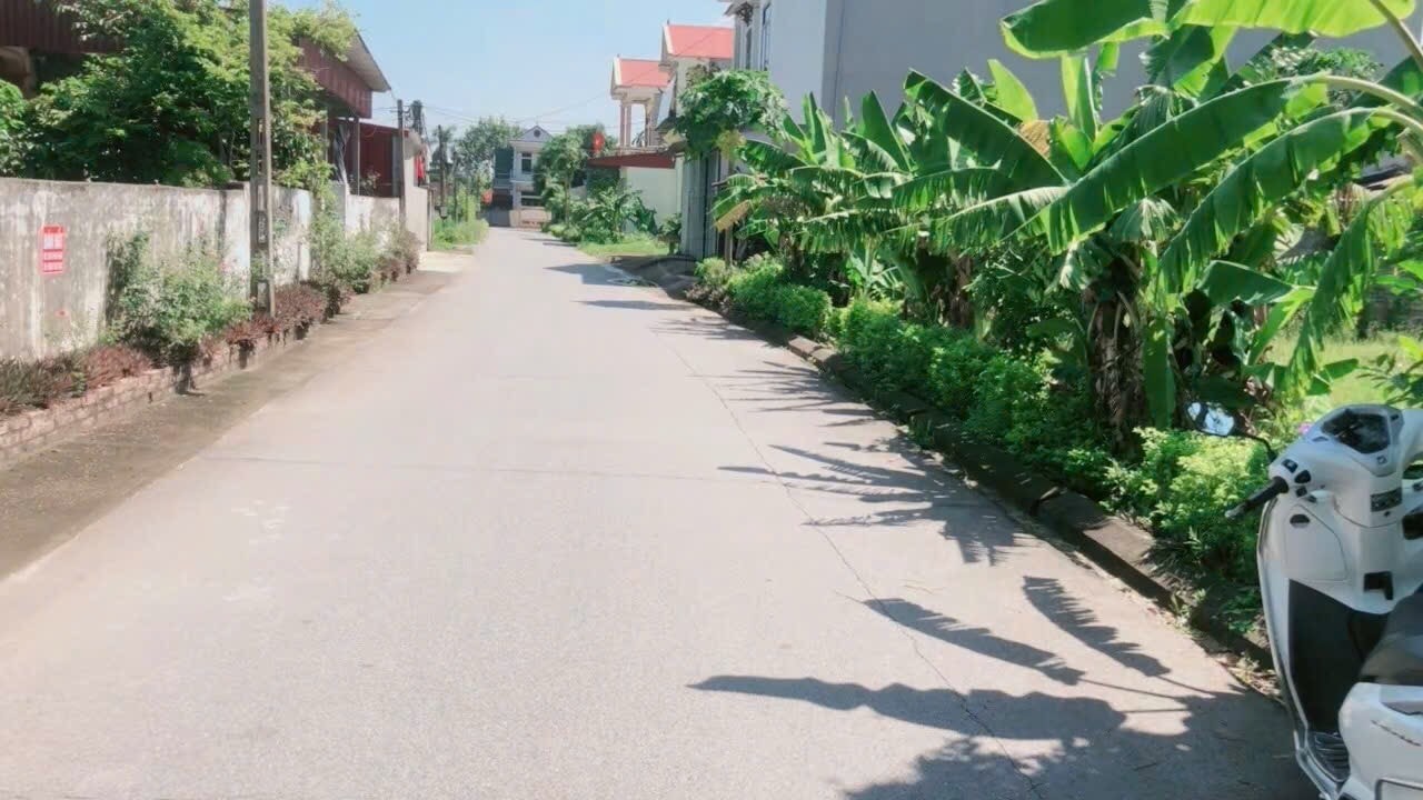 Đất nền xã Khánh Tiên, huyện Yên Khánh, 100m² - Giá đầu tư hấp dẫn!