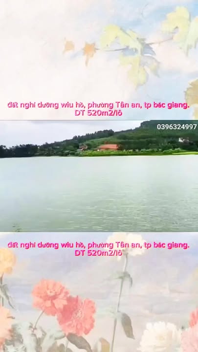 Đất nền Quỳnh Sơn, Yên Dũng 520m² - Giá cực hiếm chỉ từ 1 tỷ!