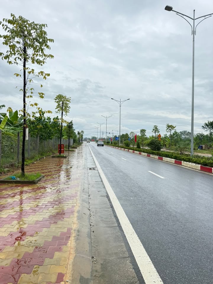 Lô đất Farm tại Yên Sơn 3770m² giá 5 tỷ - Phát triển trang trại lý tưởng!