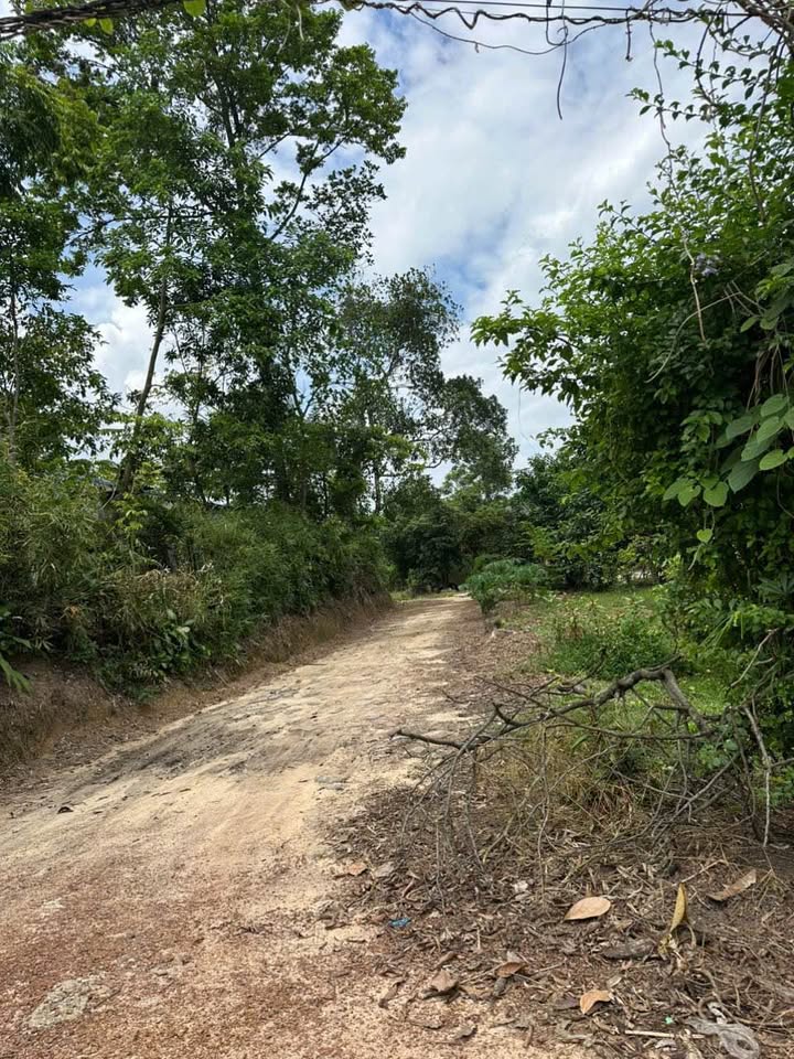 Đất nền Tân Thành Thái Nguyên 1985m² giá 1,399 tỷ - Ô tô vào tận nơi!