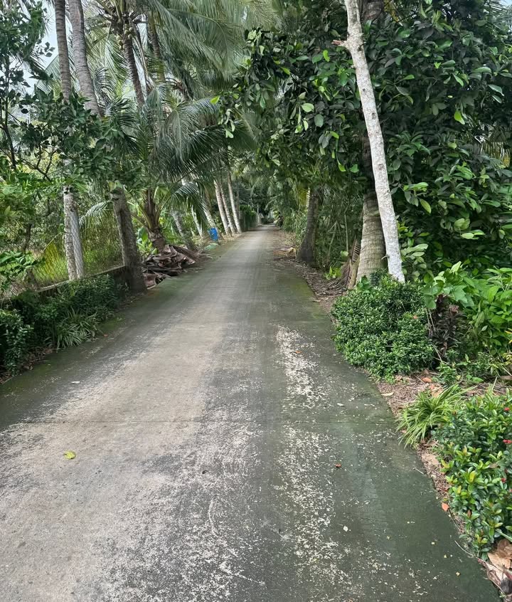 Đất mặt tiền Nhị Quý 3600m² giá chỉ 1.1 tỷ - Cơ hội đầu tư tuyệt vời!