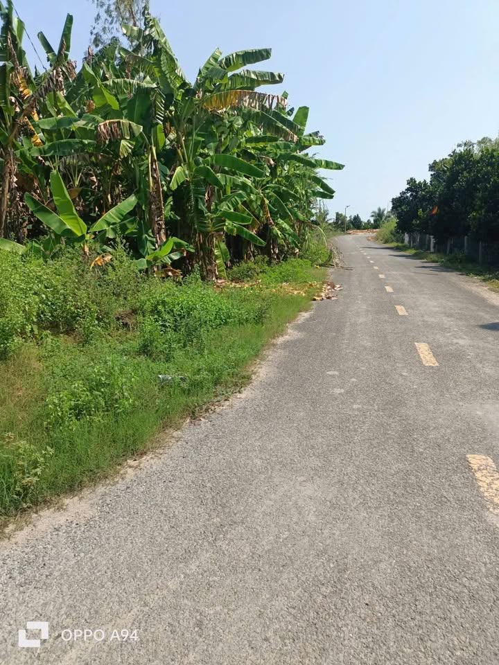 Đất nền góc Tân Kiều 117m² giá chỉ 480 triệu - Cơ hội đầu tư lý tưởng!