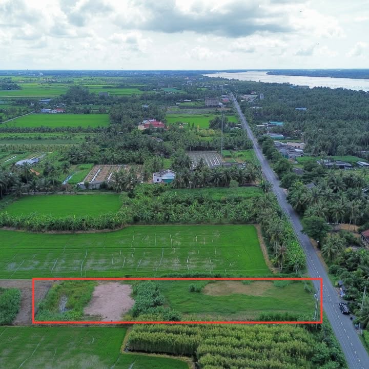 Đất thổ cư 1960m² hướng Nam tại Ấp Hòa Bình, Tiền Giang - Giá 4.5 tỷ hấp dẫn!