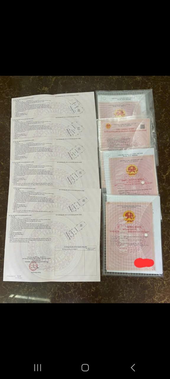 Đất nền dự án Lạc Phú 1 - Yên Dũng 100m² giá chỉ 1.2 tỷ - Cơ hội đầu tư tuyệt vời!