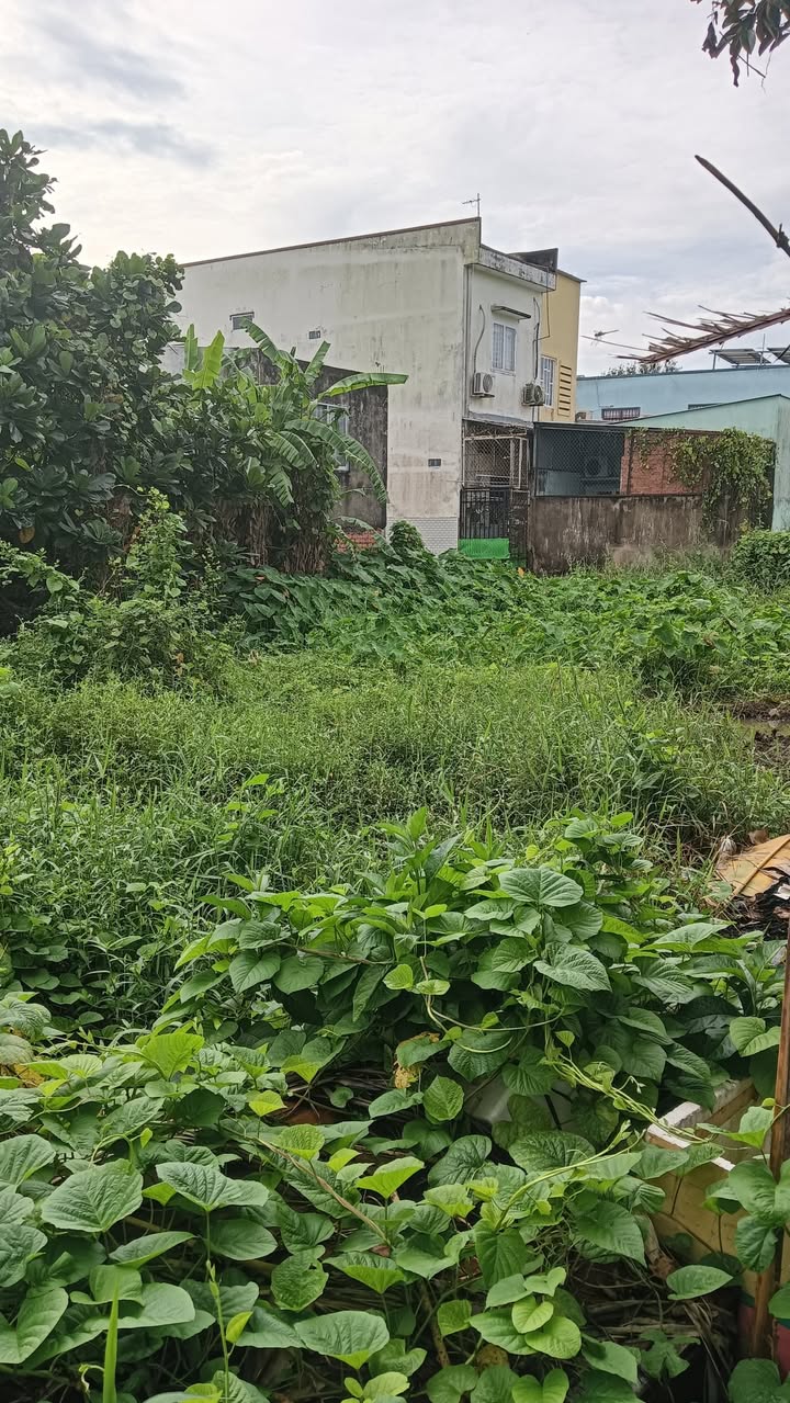 Đất nền Cai Lậy 132m² giá 550 triệu - Chính chủ bán gấp!