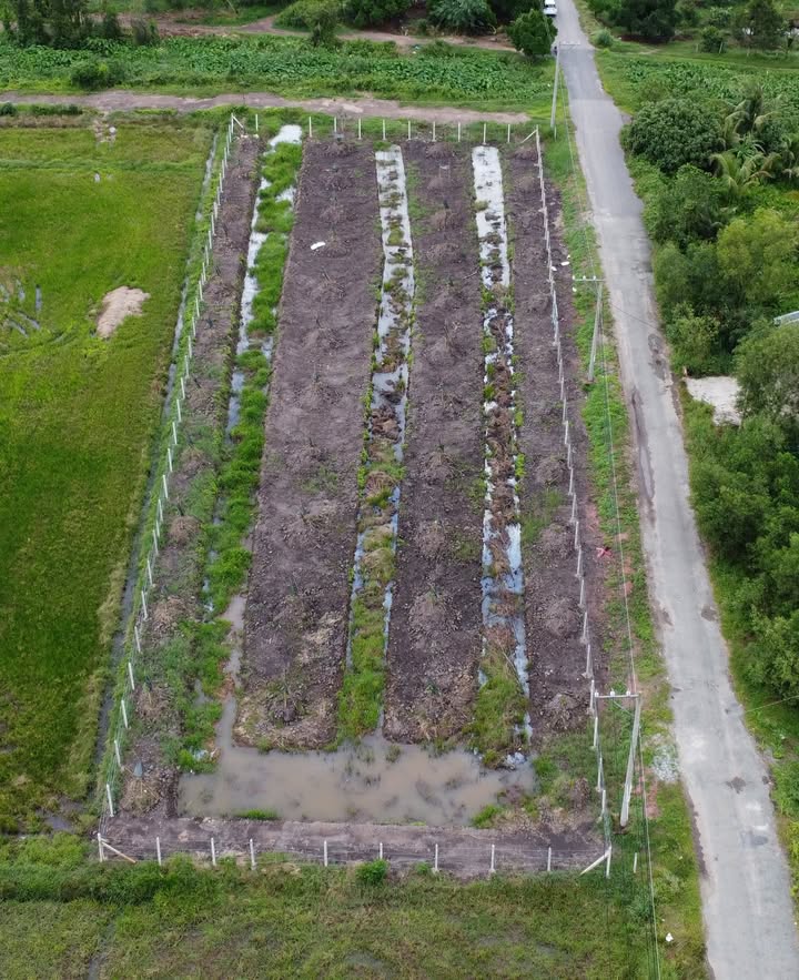 Đất nền Phú Mỹ Hưng, Củ Chi 2565m² giá 4.8 tỷ - Đầu tư tiềm năng ngay trung tâm!