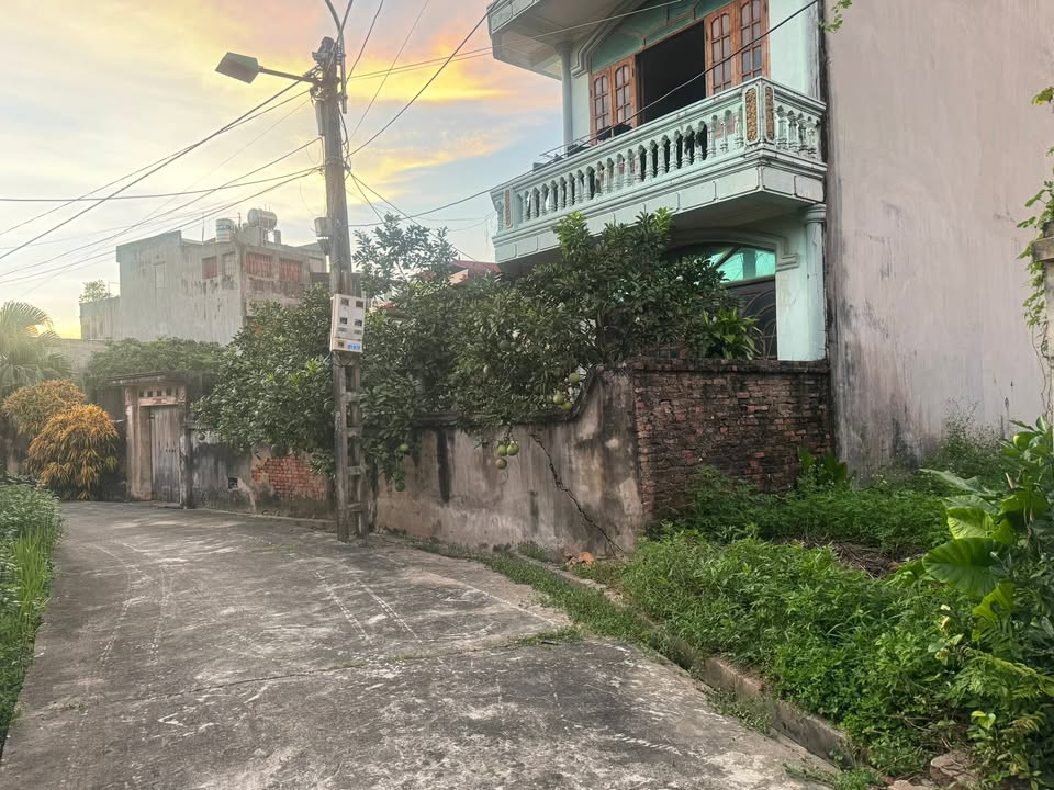 Đất Song Mai 100m² giá 1.6 tỷ - Cạnh công viên, vị trí vàng cho đầu tư!