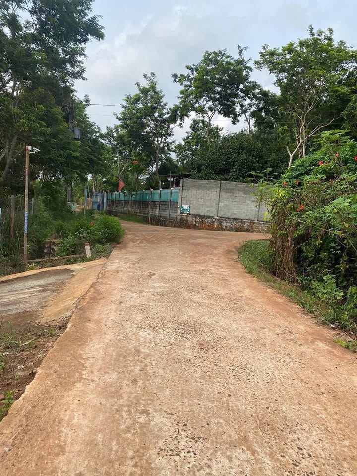 Đất thổ cư Lộc Tấn 495m² giá 700 triệu - Đầu tư sinh lời ngay!