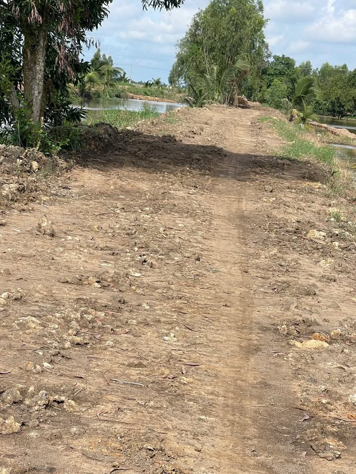 Đất nông nghiệp 4 công tại Nhơn Ninh, Tân Thạnh, Long An - Giá 760 triệu - Đầu tư sinh lời!