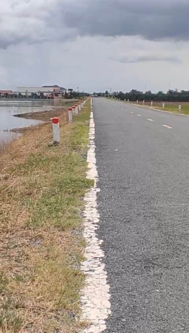 Đất Farm 28 công tại Đường ĐT 856, Phương Thịnh, Đồng Tháp - Giá chỉ 8.4 tỷ, thương lượng tốt!