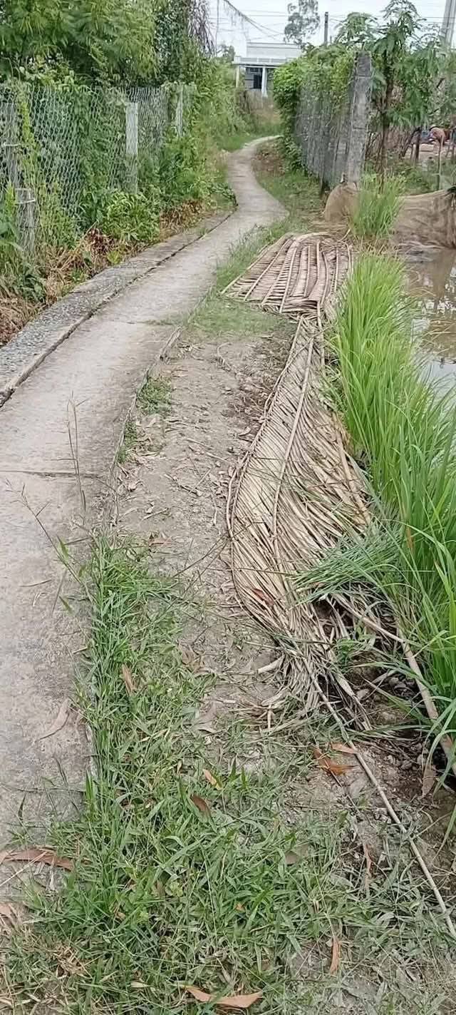 Đất thổ cư và đất vườn Tân Chánh 747m² giá 800 triệu - Cơ hội đầu tư tuyệt vời!