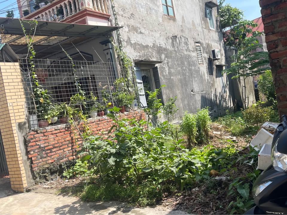 Đất nền Nội Hoàng Yên Dũng 88,6m² giá chỉ 1.xxx tỷ - Mặt tiền kinh doanh đắc địa!