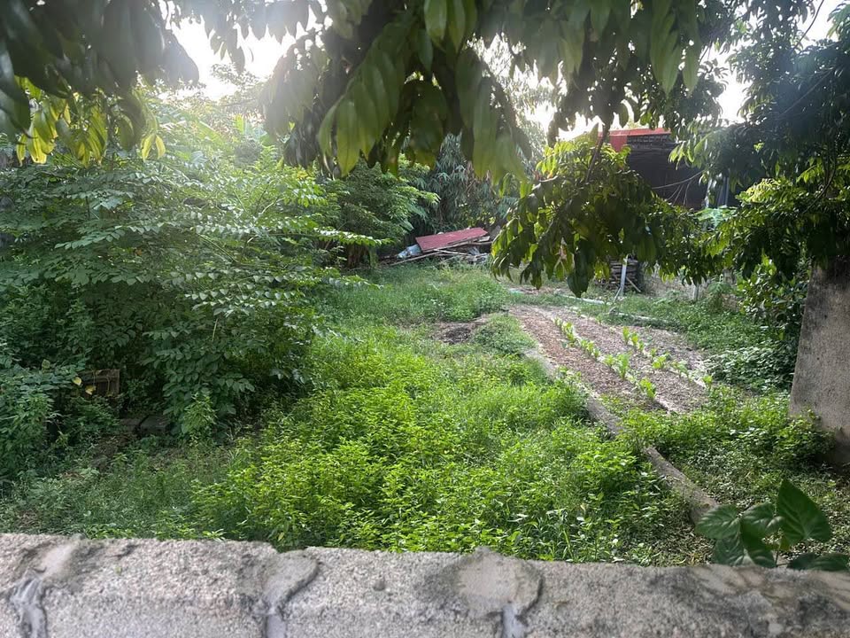 Đất nền 125m² xã Thường Thắng, Hiệp Hòa - Giá chỉ 2 tỷ, vị trí đắc địa!