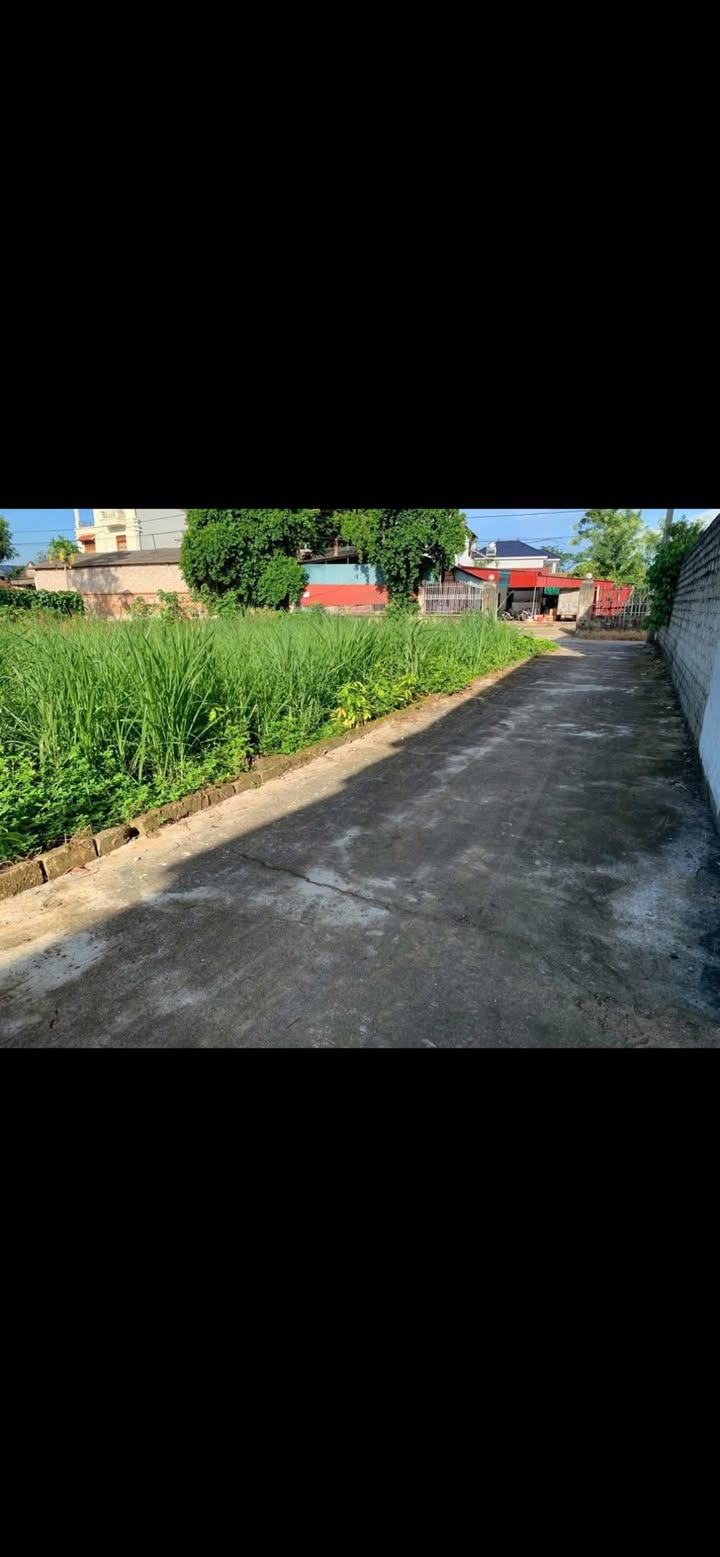 Đất nền Ngọc Sơn Hiệp Hòa 300m² giá chỉ 9xx triệu - Cơ hội đầu tư hiếm có!