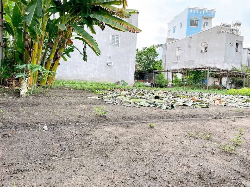 Cho thuê kho 600m² tại Tân Mai, Biên Hòa - Giá chỉ 4 triệu/tháng!