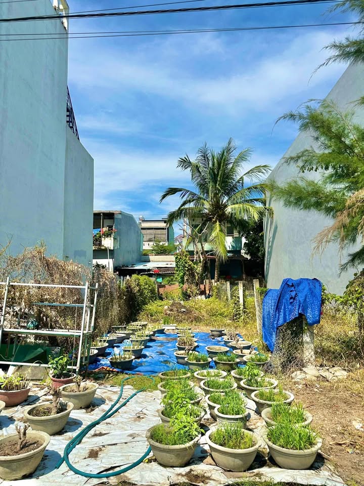 Đất mặt tiền Trần Quốc Tảng Quy Nhơn 84m² giá 3.1 tỷ - Hướng Đông hiếm có!