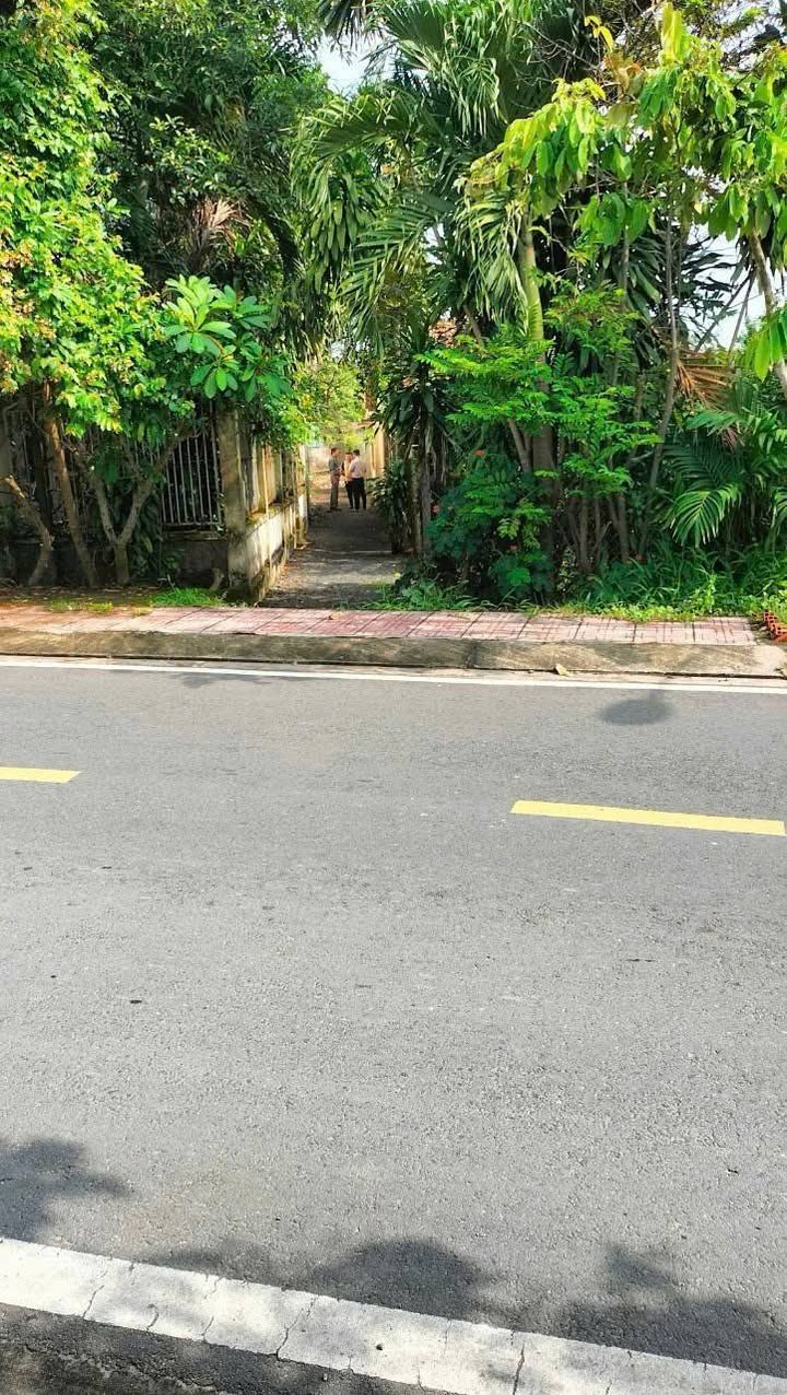 Đất trồng cây Hóc Môn Tân Hiệp 546m² giá 3.5 tỷ - Sổ đỏ chính chủ